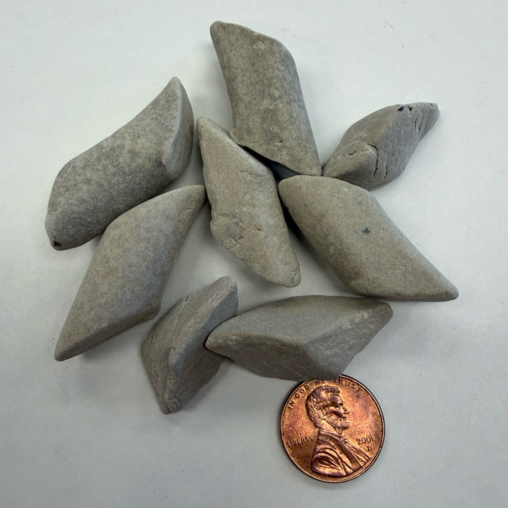 A few pieces of EF-0900 MIX Eco-Flex™ media shown with a penny for size comparison