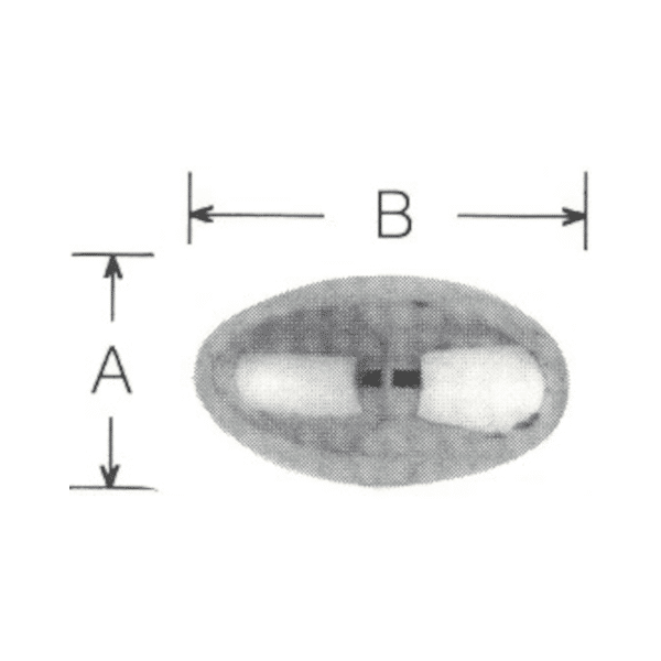 Steel/Stainless Steel Media, Part # SS-OVALBALLS 5/32