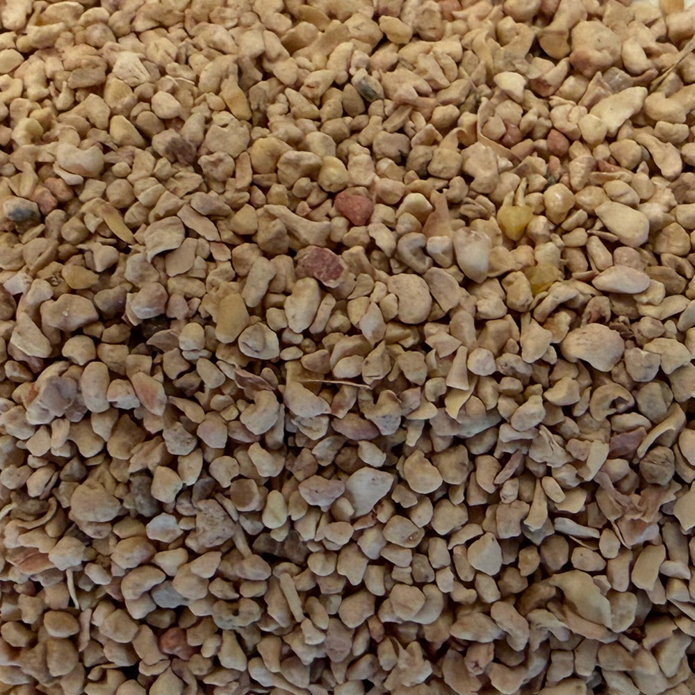 Closeup of D-CC-29 treated corn cob dry media
