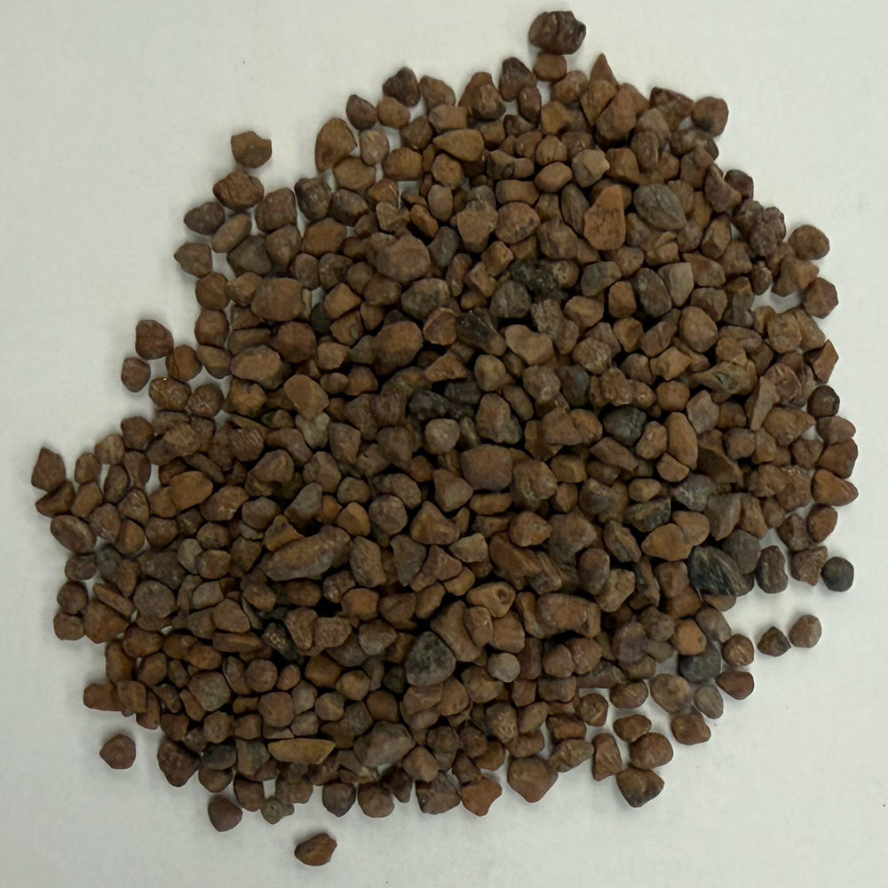 Small pile close-up of D-WS 52-050 treated walnut shell media