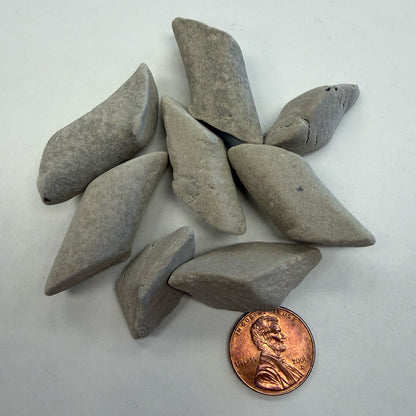 A few pieces of EF-0900 MIX Eco-Flex™ media shown with a penny for size comparison